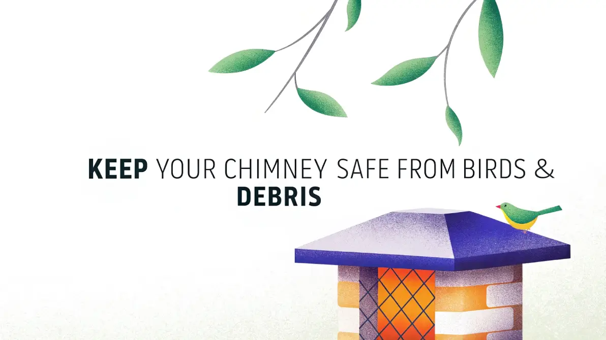 Keep Your Chimney Safe from Birds & Debris